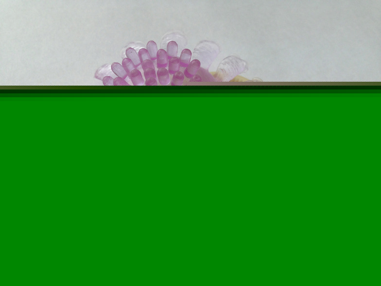 ���� ������������� � ������, �������� ���� ���� �������������