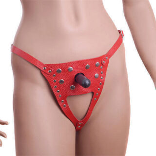 Трусики с креплением для страпона Vac-U-Lock Harness - Sitabella